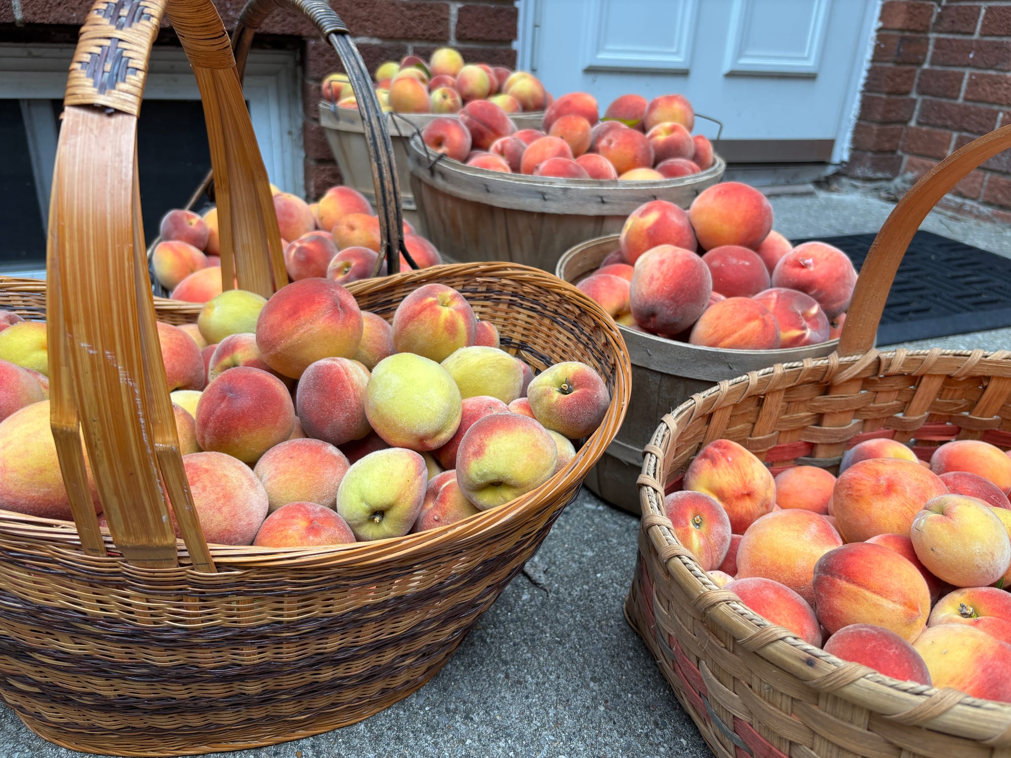 a photograph of multiple baskets of peaches sitting outside the door of a brick house